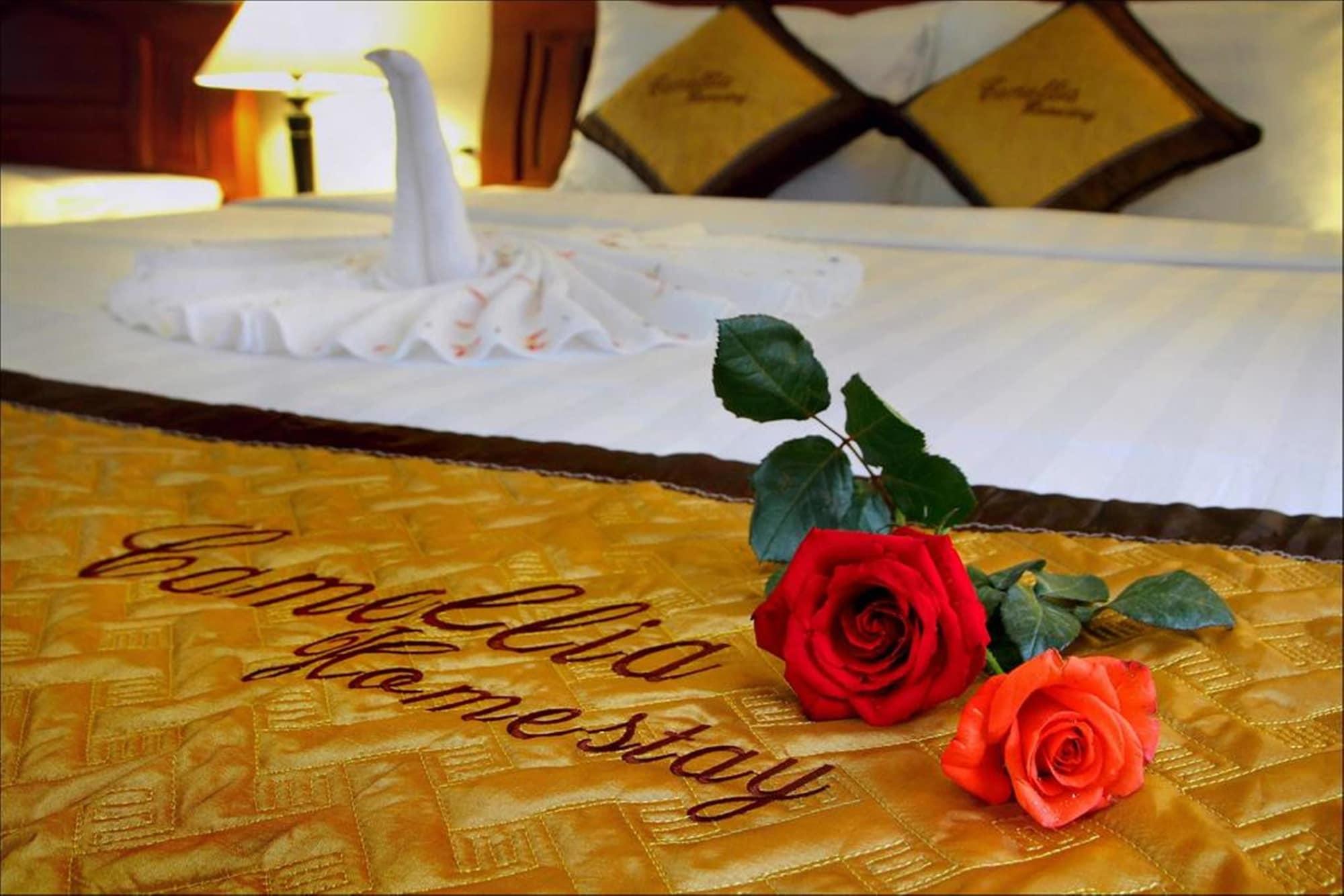 Camellia Homestay Хойан Экстерьер фото