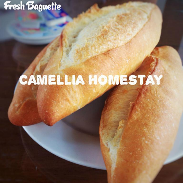 Camellia Homestay Хойан Экстерьер фото